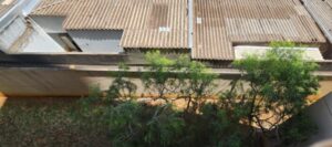 IMG-20251124-WA0034