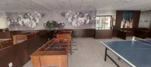 imgi_37_b812455f96c56e1724ef4dd4566b3b4e